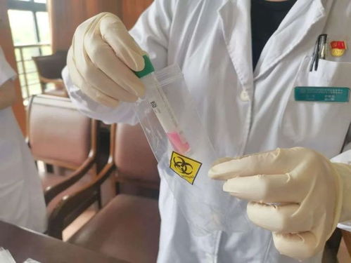 嘉定社区卫生服务中心 核酸检测采样与环保科技技术开发服务介绍