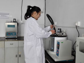 山东与广东食品检测服务 保障食品安全的关键环节